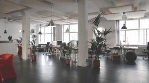 DLO office moving experts - Office space - open floorplan with plants
