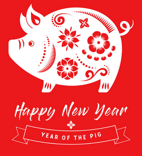 Year of the pig illustration